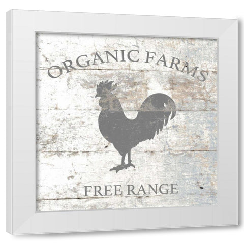 Organic Farm White Modern Wood Framed Art Print by Brown,Victoria