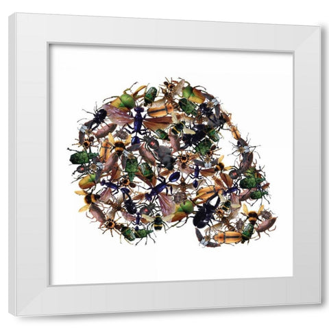 Skull 1.3.2 White Modern Wood Framed Art Print by Brown, Victoria
