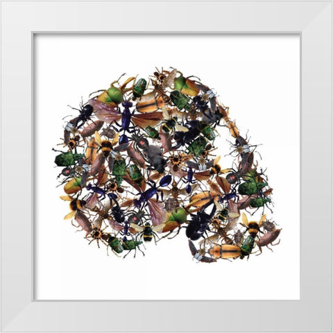 Skull 1.3.2 White Modern Wood Framed Art Print by Brown, Victoria