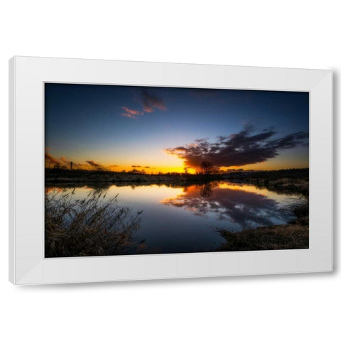 Butterfly View White Modern Wood Framed Art Print by Kostka, Vladimir