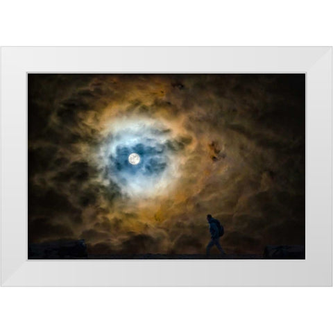 Walker White Modern Wood Framed Art Print by Kostka, Vladimir