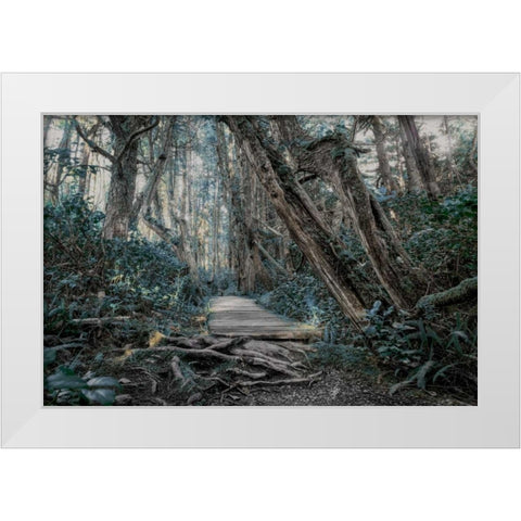 Path In The Forest 2 White Modern Wood Framed Art Print by Kostka, Vladimir
