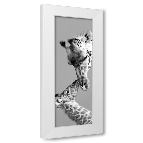 Infinite Love White Modern Wood Framed Art Print by Parker, Suzann, Frank