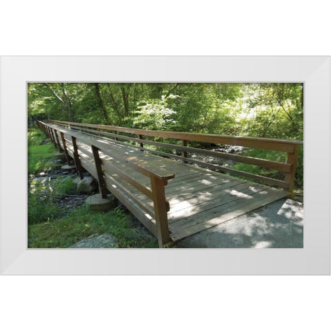 Eddys Bridge White Modern Wood Framed Art Print by Anonymous