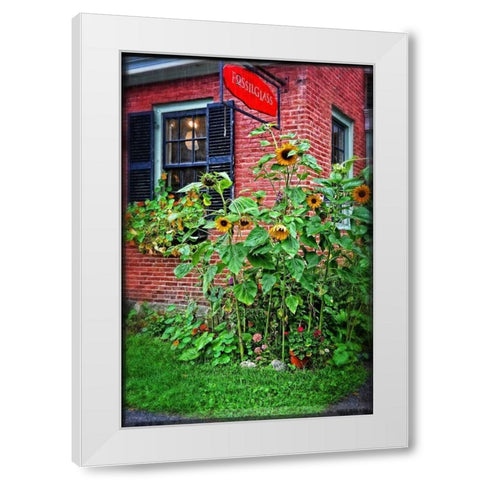 Country Store Sunflowers White Modern Wood Framed Art Print by Foschino, Suzanne