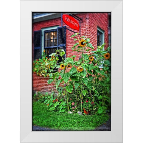 Country Store Sunflowers White Modern Wood Framed Art Print by Foschino, Suzanne
