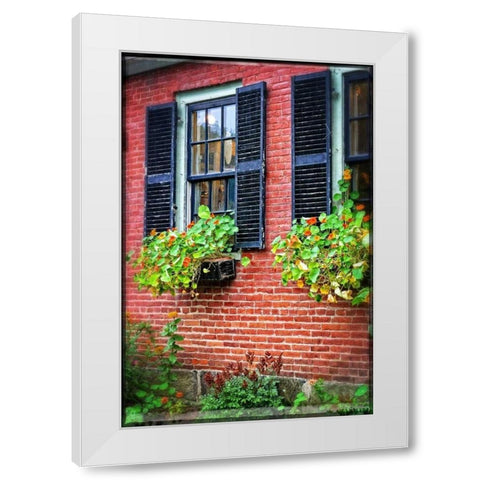 Country Store Window Flowers White Modern Wood Framed Art Print by Foschino, Suzanne