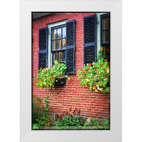 Country Store Window Flowers White Modern Wood Framed Art Print by Foschino, Suzanne
