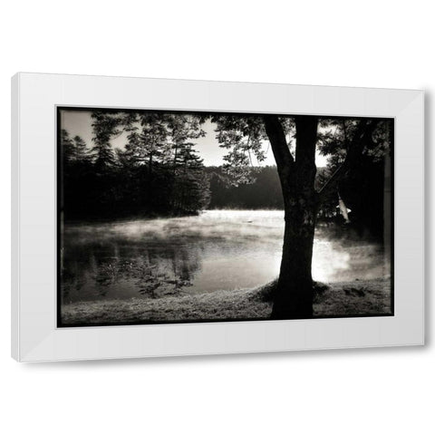 Morning Smoke 2 White Modern Wood Framed Art Print by Foschino, Suzanne