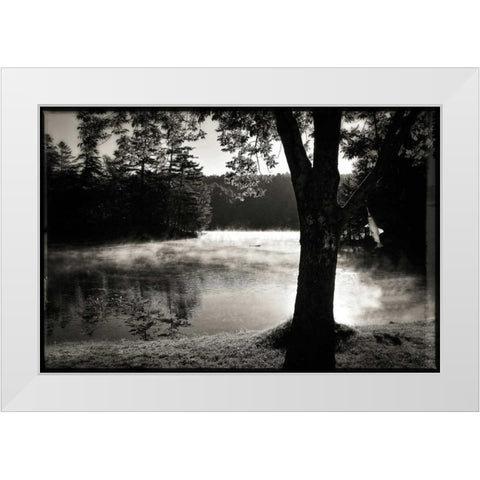 Morning Smoke 2 White Modern Wood Framed Art Print by Foschino, Suzanne