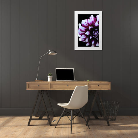 Purple Dahlia 26 White Modern Wood Framed Art Print by Foschino, Suzanne