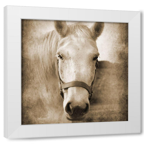 Good Boy White Modern Wood Framed Art Print by Foschino, Suzanne