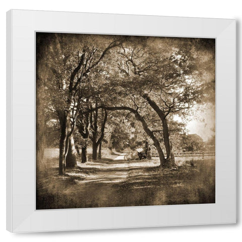 Dirt Road White Modern Wood Framed Art Print by Foschino, Suzanne