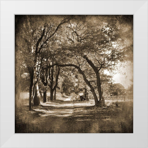 Dirt Road White Modern Wood Framed Art Print by Foschino, Suzanne