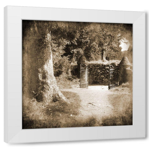 Wicklow Tree Line 2 White Modern Wood Framed Art Print by Foschino, Suzanne