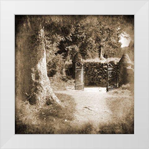 Wicklow Tree Line 2 White Modern Wood Framed Art Print by Foschino, Suzanne