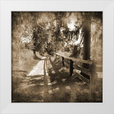 Dirt Road White Modern Wood Framed Art Print by Foschino, Suzanne