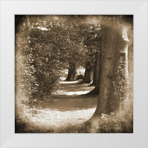 Wicklow Tree Line 1 White Modern Wood Framed Art Print by Foschino, Suzanne