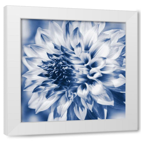 Dahlia Navy 1 White Modern Wood Framed Art Print by Foschino, Suzanne