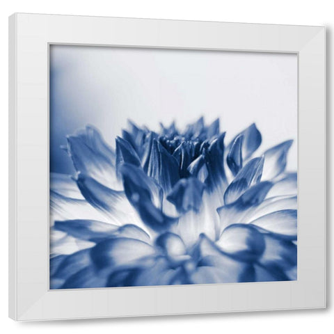 Dahlia Navy 3 White Modern Wood Framed Art Print by Foschino, Suzanne