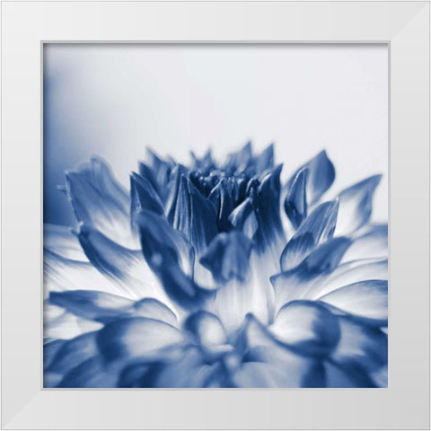 Dahlia Navy 3 White Modern Wood Framed Art Print by Foschino, Suzanne
