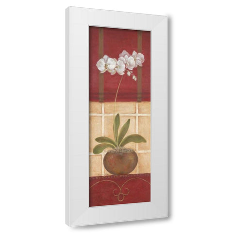Window Wonders I White Modern Wood Framed Art Print by Tava Studios