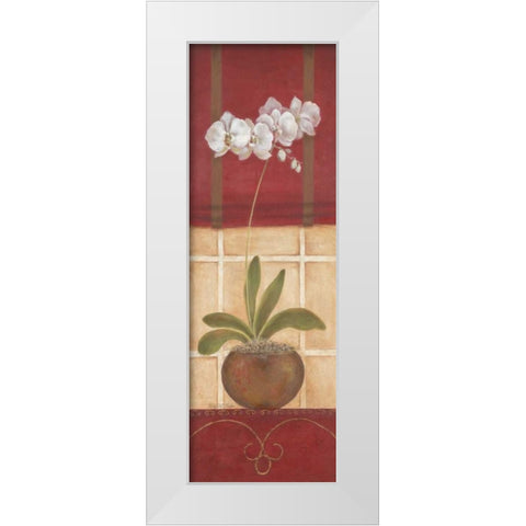 Window Wonders I White Modern Wood Framed Art Print by Tava Studios