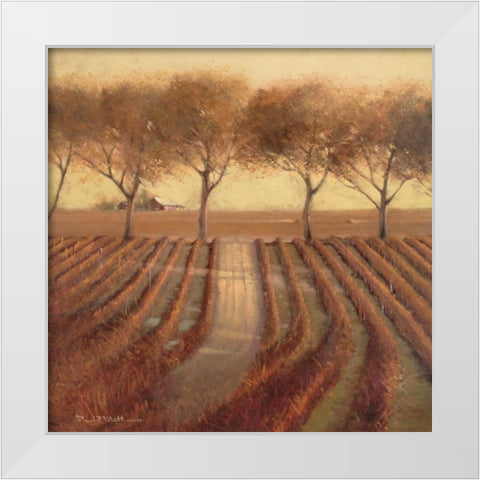 Vintage Sunlit Vineyard White Modern Wood Framed Art Print by Mathenia, Paul