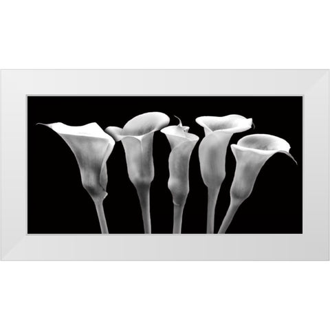 Lilies at Night White Modern Wood Framed Art Print by Craven, Katrina