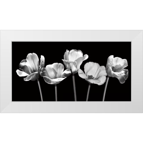 Tulips at Night White Modern Wood Framed Art Print by Craven, Katrina