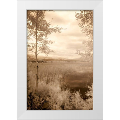 Peaceful Morning I White Modern Wood Framed Art Print by Nagler, Monte