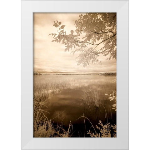 Peaceful Morning II White Modern Wood Framed Art Print by Nagler, Monte