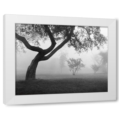 Into the Mist White Modern Wood Framed Art Print by Nagler, Monte