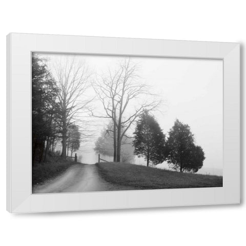 Tennessee Morning White Modern Wood Framed Art Print by Nagler, Monte