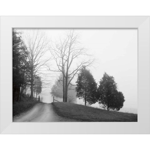 Tennessee Morning White Modern Wood Framed Art Print by Nagler, Monte