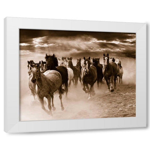 Running Horses White Modern Wood Framed Art Print by Nagler, Monte