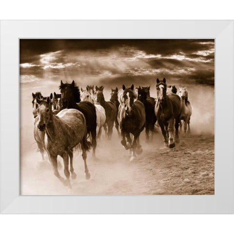 Running Horses White Modern Wood Framed Art Print by Nagler, Monte