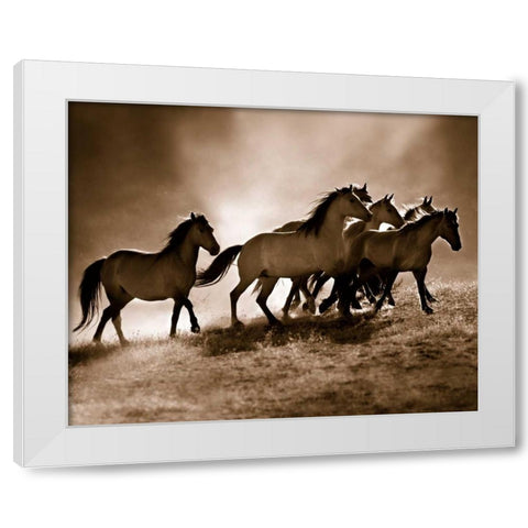 Wild Horses White Modern Wood Framed Art Print by Dearing, Lisa