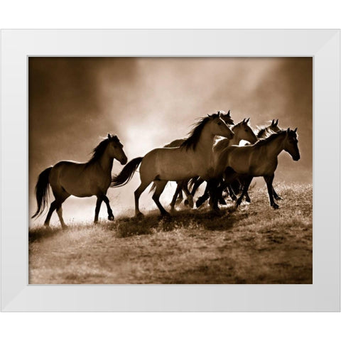 Wild Horses White Modern Wood Framed Art Print by Dearing, Lisa