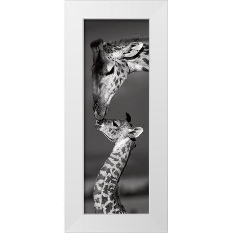 Masai Mara Giraffes White Modern Wood Framed Art Print by Delimont, Danita