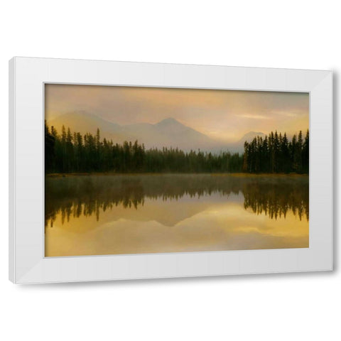 Twilight Reflection White Modern Wood Framed Art Print by Delimont, Danita