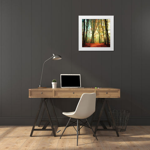 Colorfall White Modern Wood Framed Art Print by Van De Goor, Lars