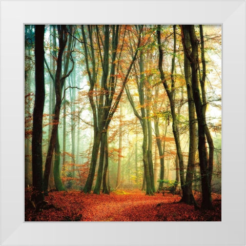 Colorfall White Modern Wood Framed Art Print by Van De Goor, Lars