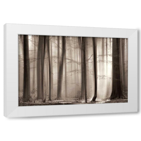 The Cloaking White Modern Wood Framed Art Print by Van De Goor, Lars