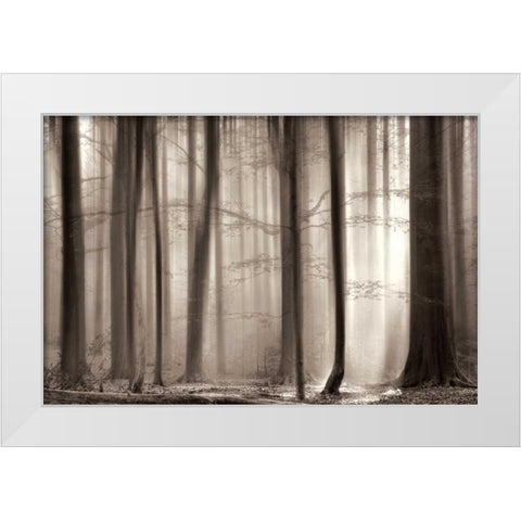 The Cloaking White Modern Wood Framed Art Print by Van De Goor, Lars