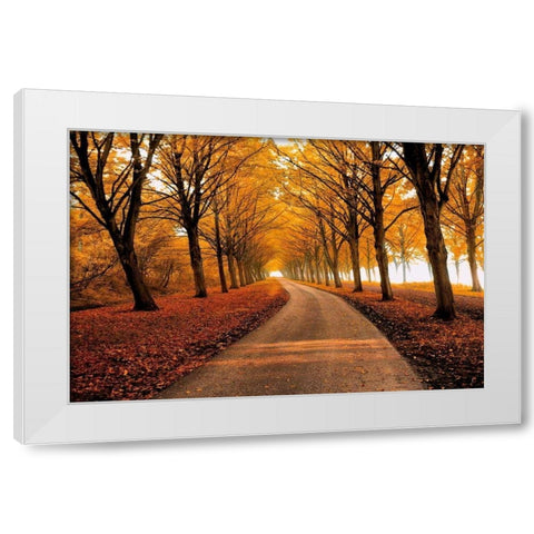 Well Traveled White Modern Wood Framed Art Print by Van De Goor, Lars