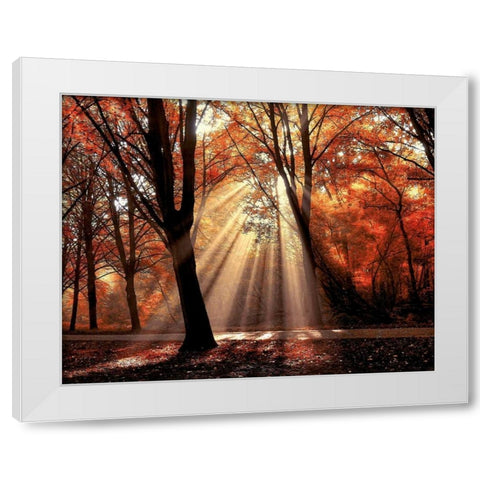 Dressed To White Modern Wood Framed Art Print by Van de Goor, Lars