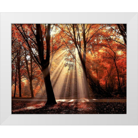 Dressed To White Modern Wood Framed Art Print by Van de Goor, Lars