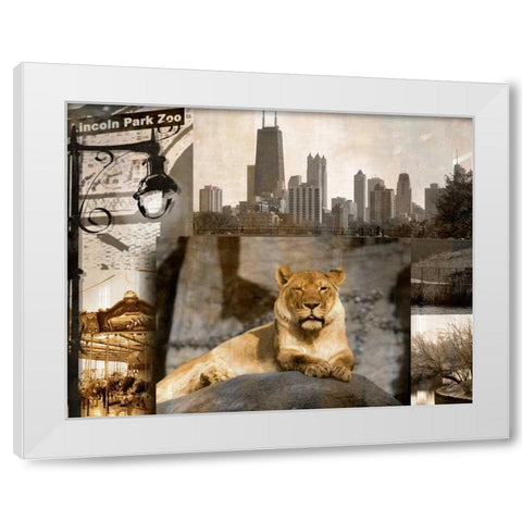 Lincoln Park Zoo White Modern Wood Framed Art Print by Donovan, Kelly