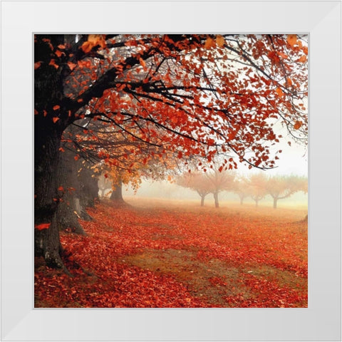 All For Show White Modern Wood Framed Art Print by Weisz, Irene